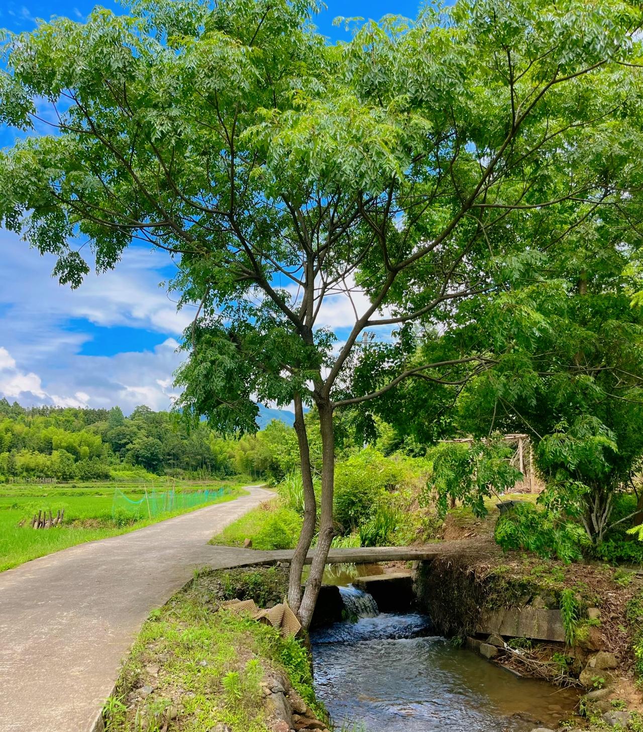 刘震云：）男人有钱了就对自己好点，因为没钱的时候你受尽了委屈。这个世界上只