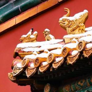 山姆一家店一年卖26个亿。你第一反应是不是“它东西一定特好”？其实不是。它卖的东