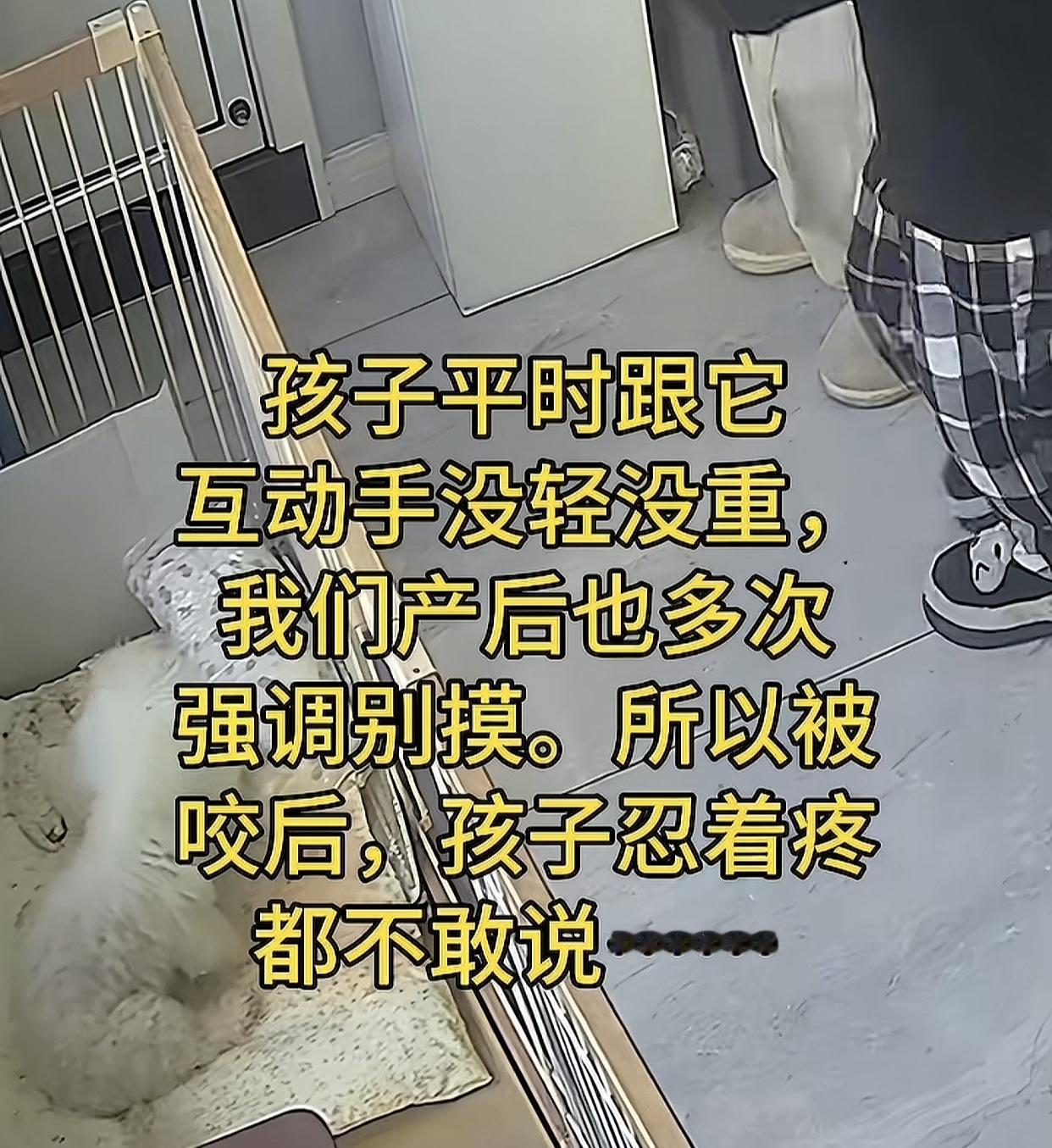 偶然看到一个宝妈分享自己女儿被自家狗咬伤的视频，本来是想解释她不但关心狗也关心女