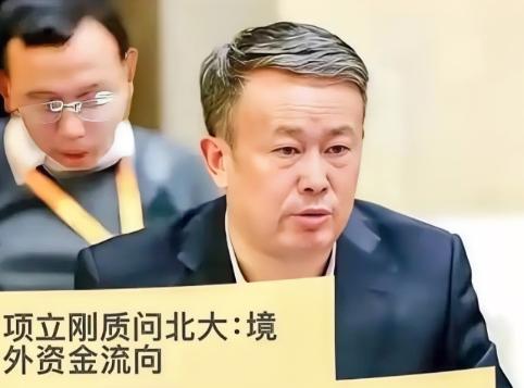 *“动不动谈与国际接轨的，其实质就是叛国。”项立刚点名北大法学院，要求公布境外资