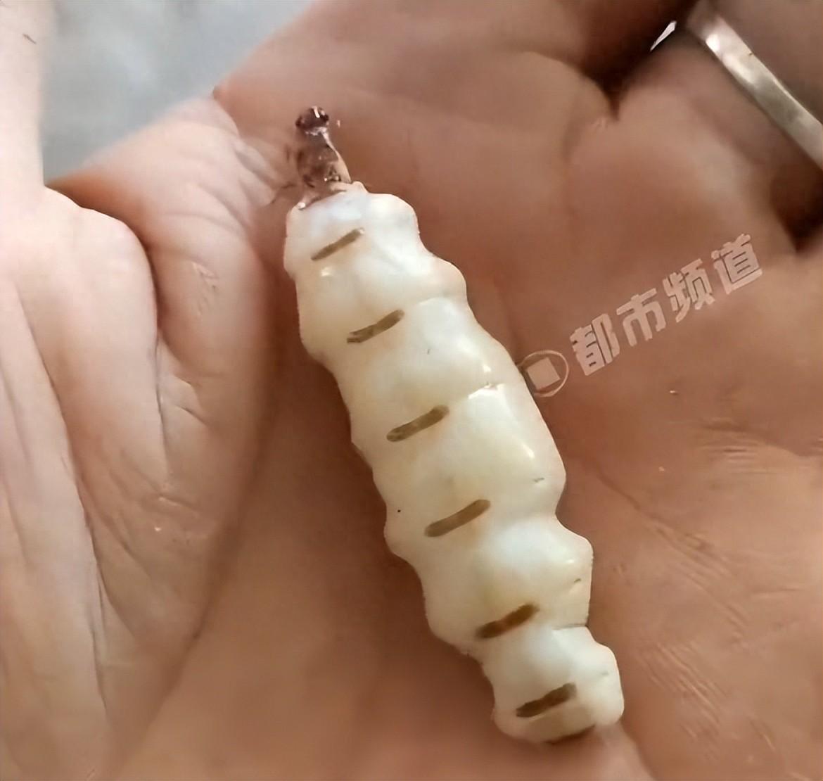 河南，扛着锄头下地干活。一锄头下去，翻出来的土里，半埋着个疙瘩物件。第一眼看，不