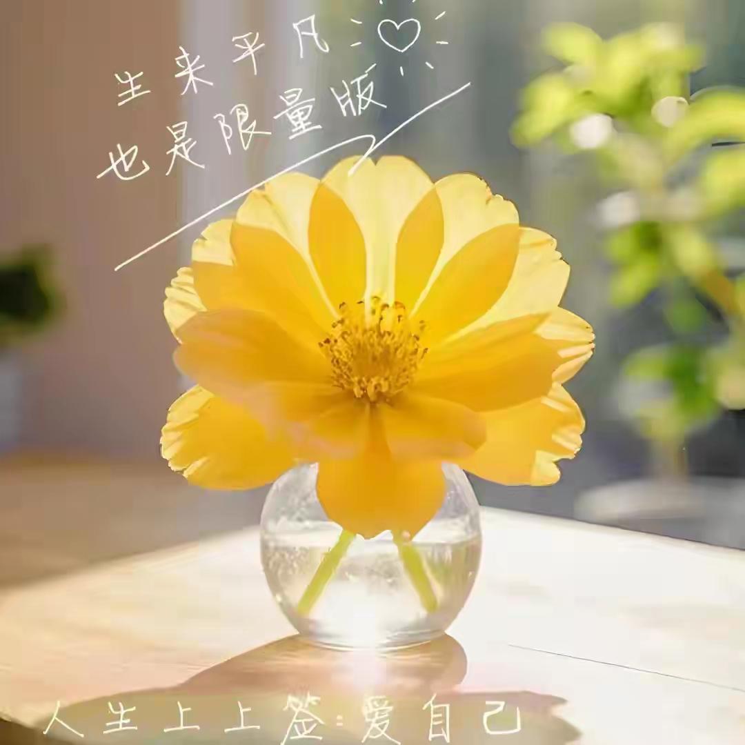 上课时,新校长不敲门,直接进教室,真烦人!今天上课时,新来的校长,又带着一群