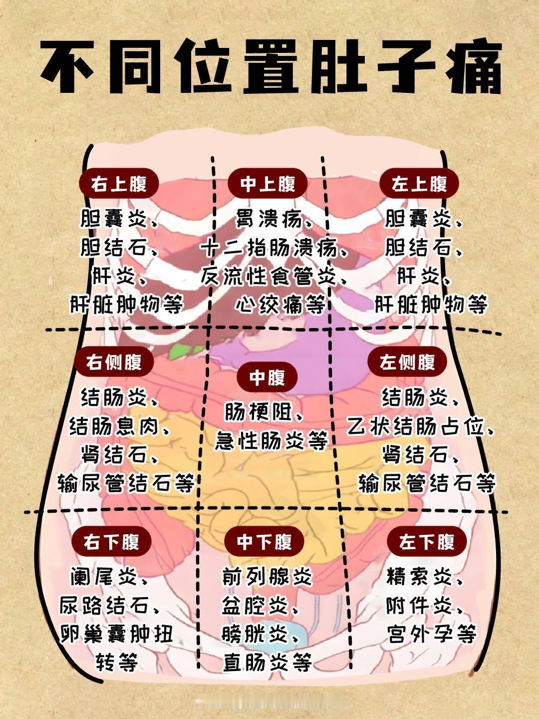 🔥不同位置肚子痛，看看腹部9分法经络疏通健康养生​​​