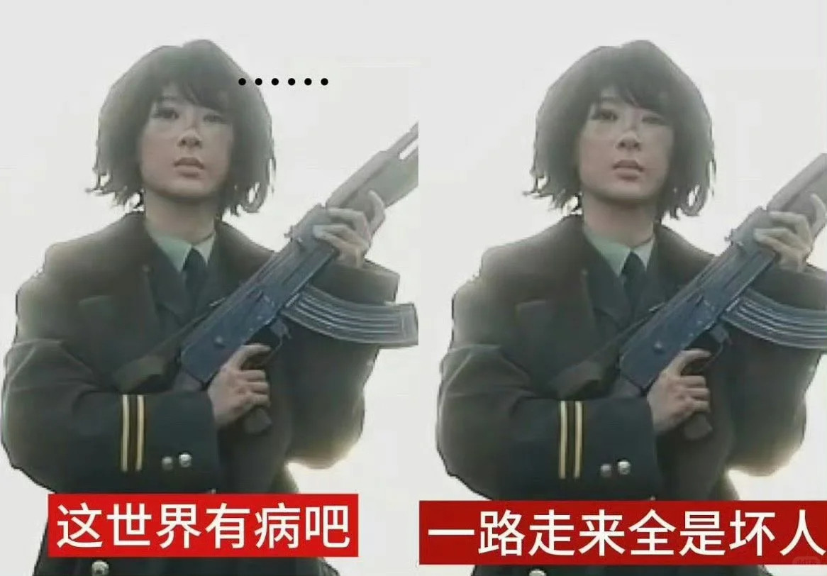 生命树还没播，已经存了一堆梗图哈哈哈