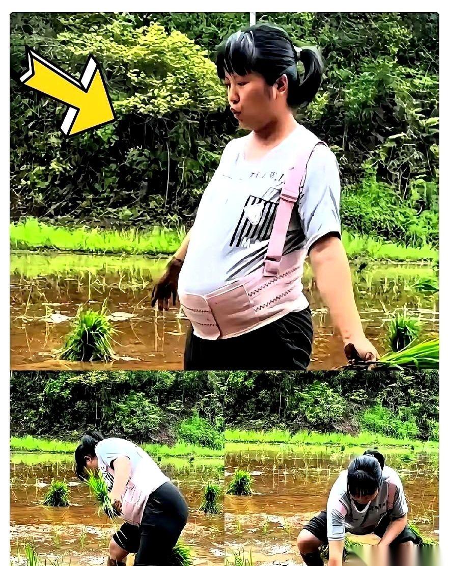 湖南怀化，一块浑浊的泥水田里。一个挺着8个月大肚子的孕妇，光着两只脚丫，一脚深一