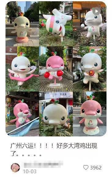 你说这是鸡？？？​​​