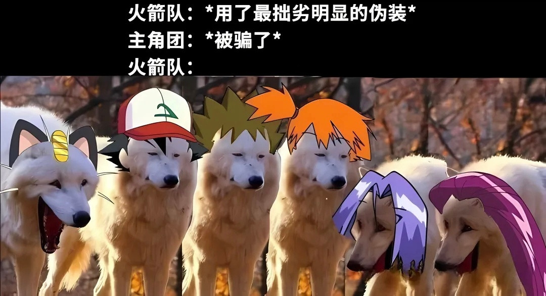 就是这样，喵meme​​​