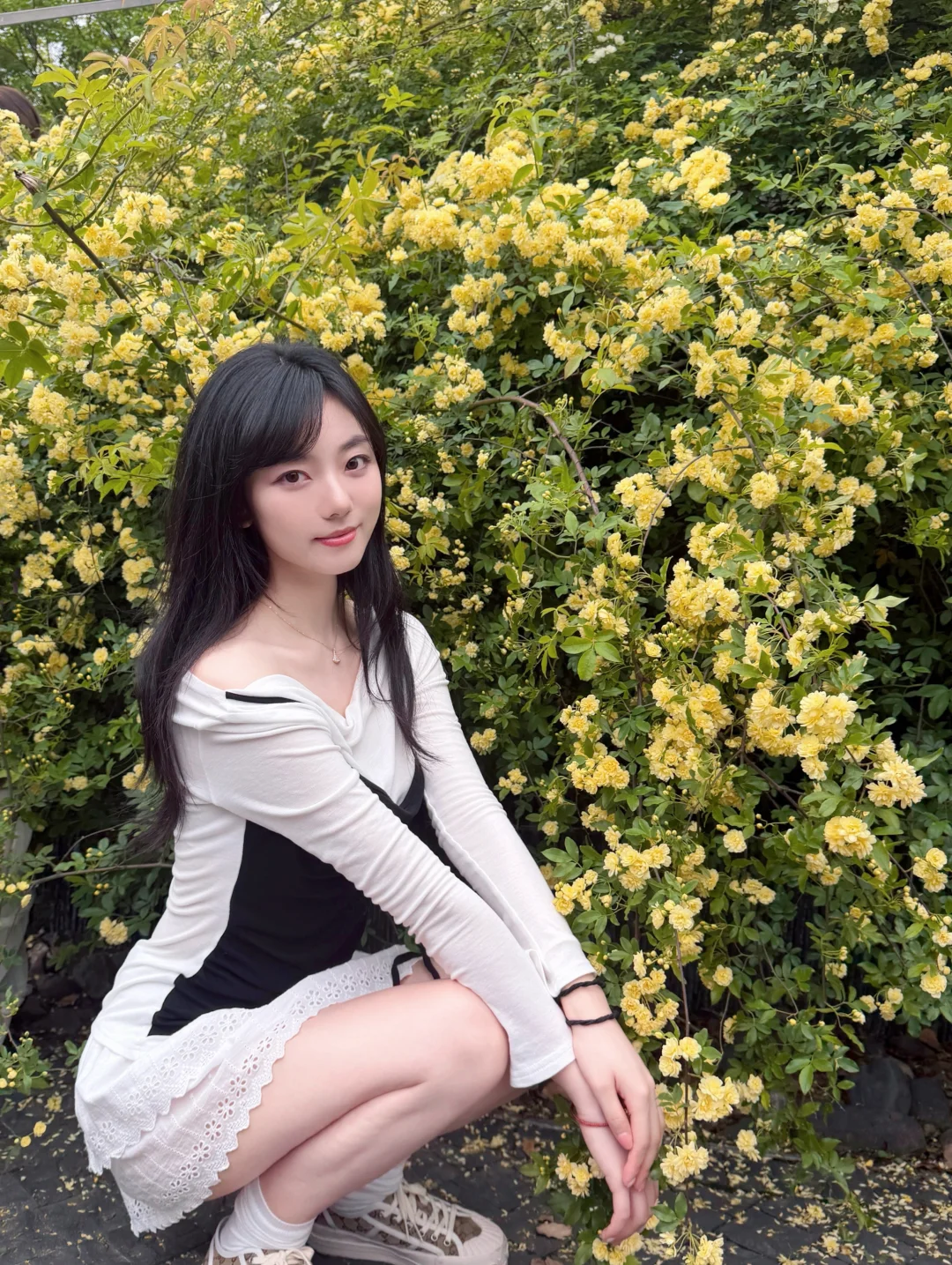 故事里的小黄花🌼