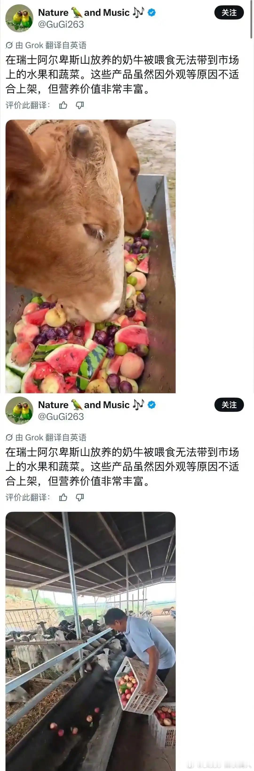 怎么看都是国内……