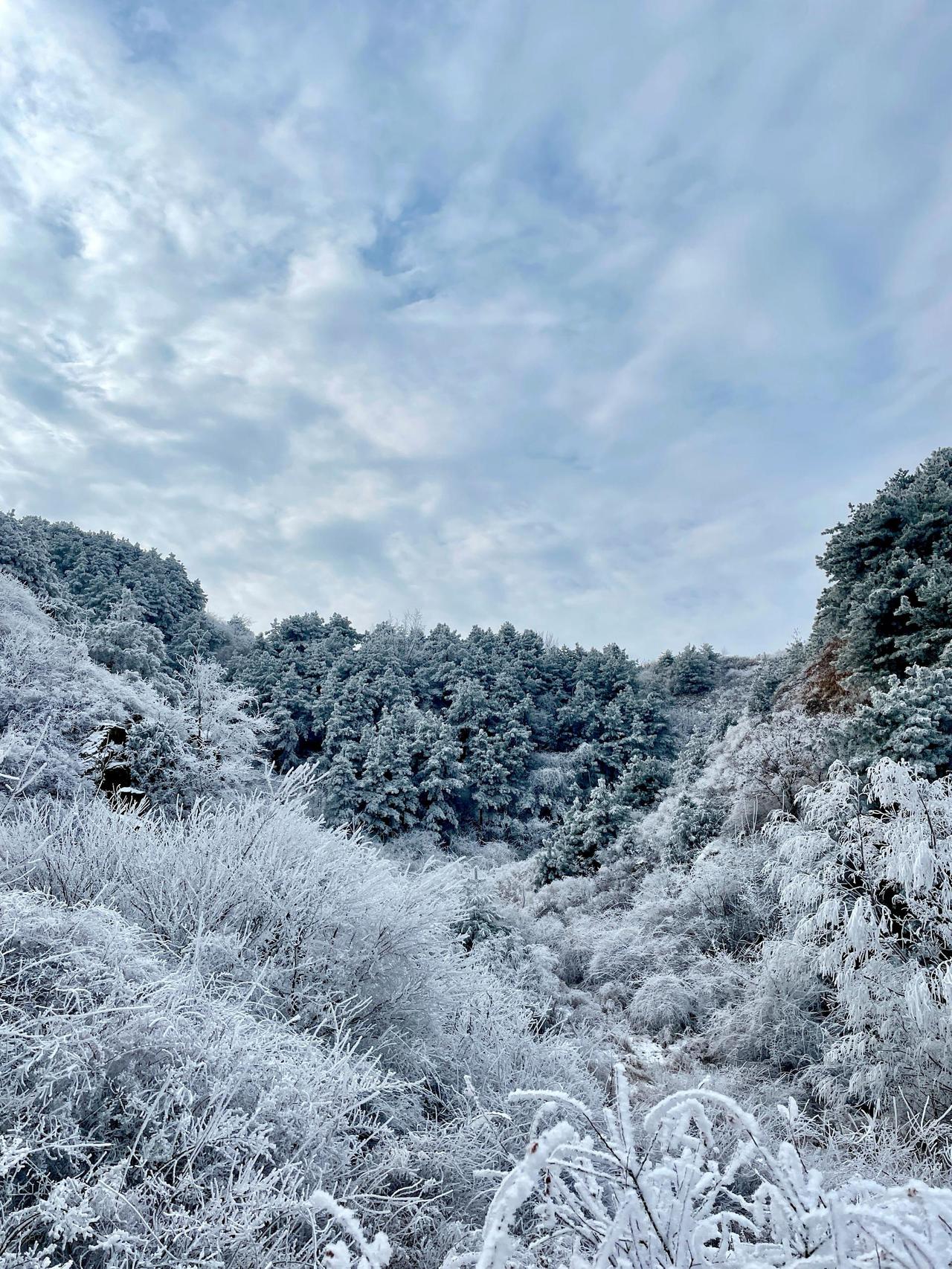 冬天不看雪景仿佛没有过冬天一样；秦巴山区的山里面，还能看到雾凇呢，很漂亮很壮观！