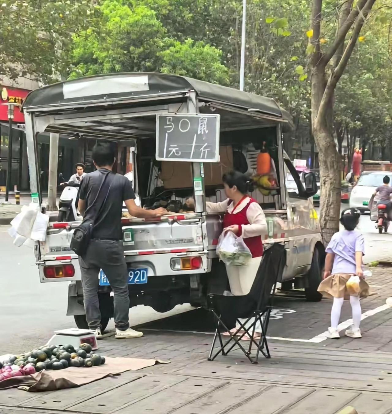 马0鼠哈哈太有意思了