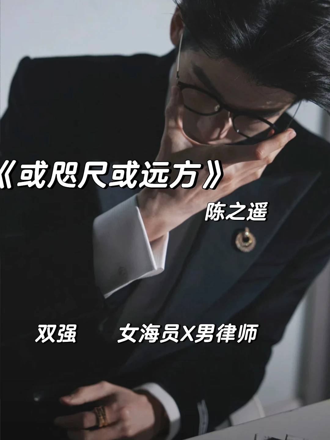 超好看双强职场，熟男熟女《或咫尺或远方》