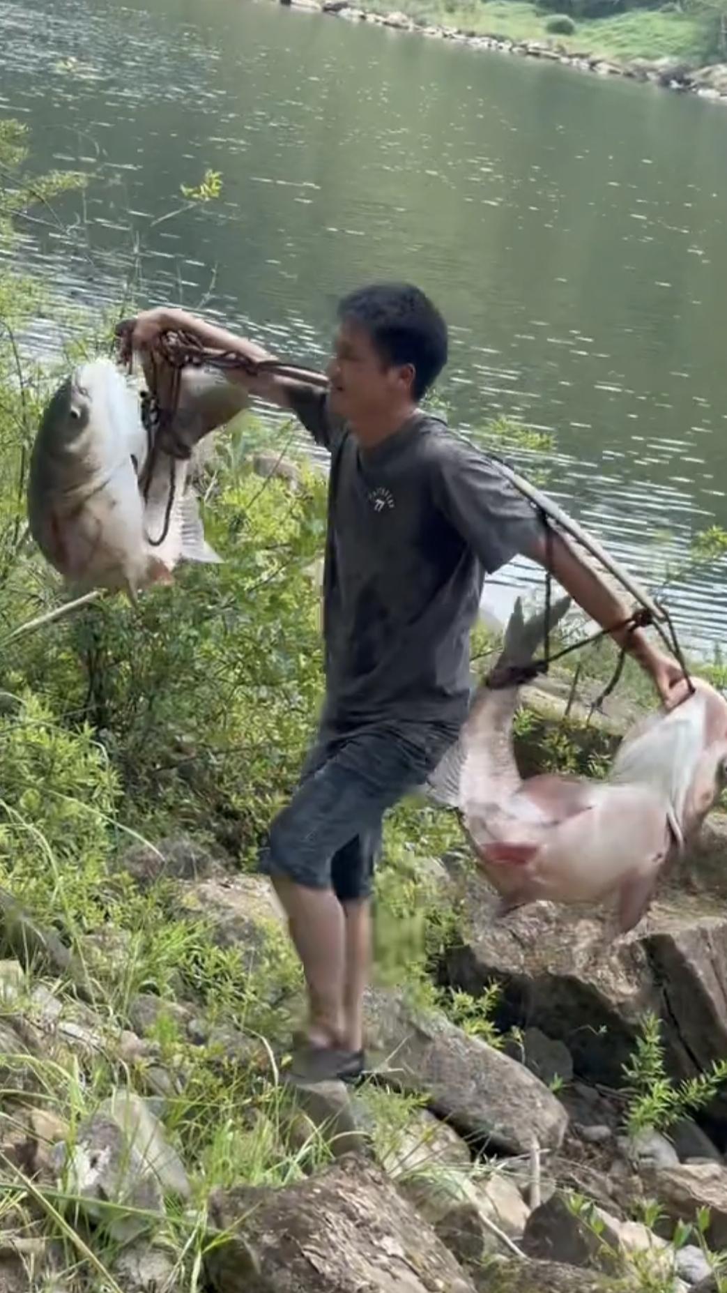 夏日生活打卡季这位钓友终于站起来了，两条鱼把扁担都压弯了，踉踉跄跄的挑着，可能要