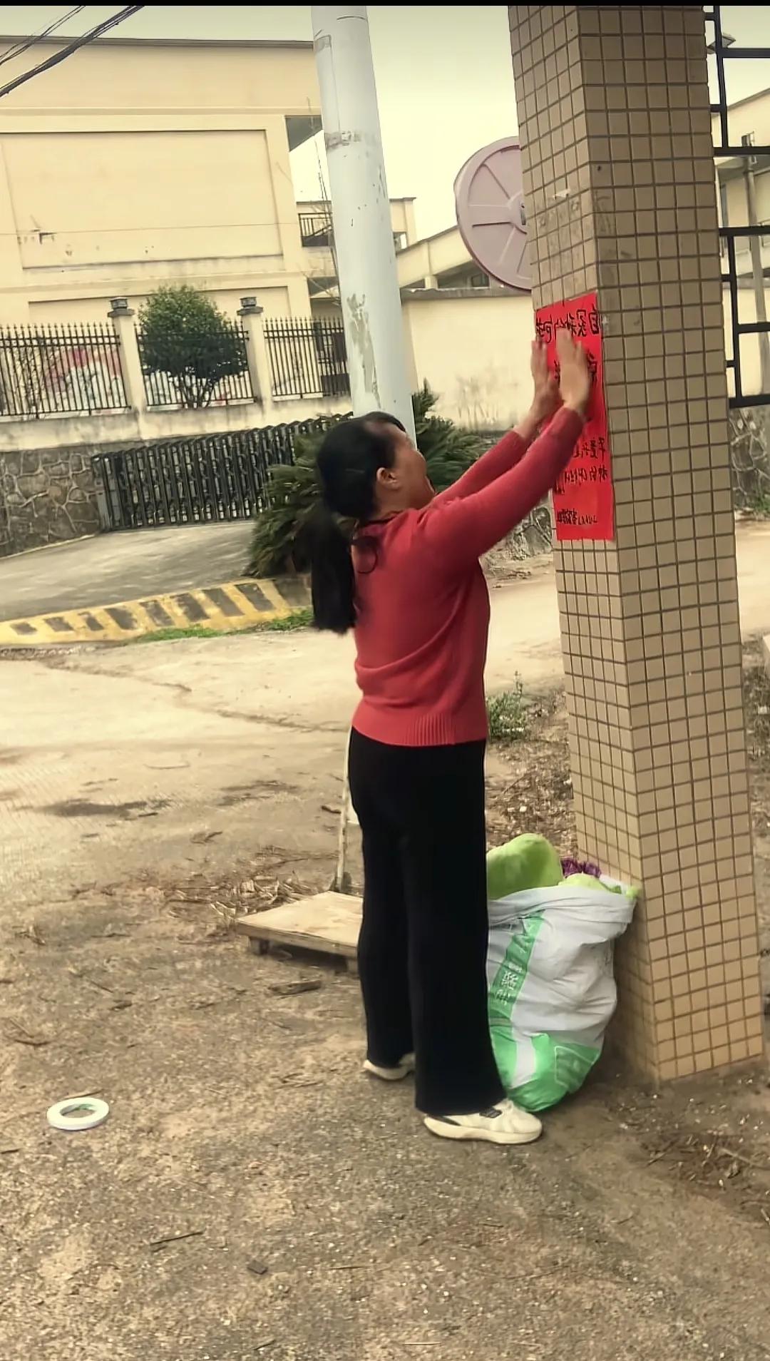 广东河源，一大姐将自家种的包菜堆在了马路边，起因是大姐家的包菜太多了，于是大姐突