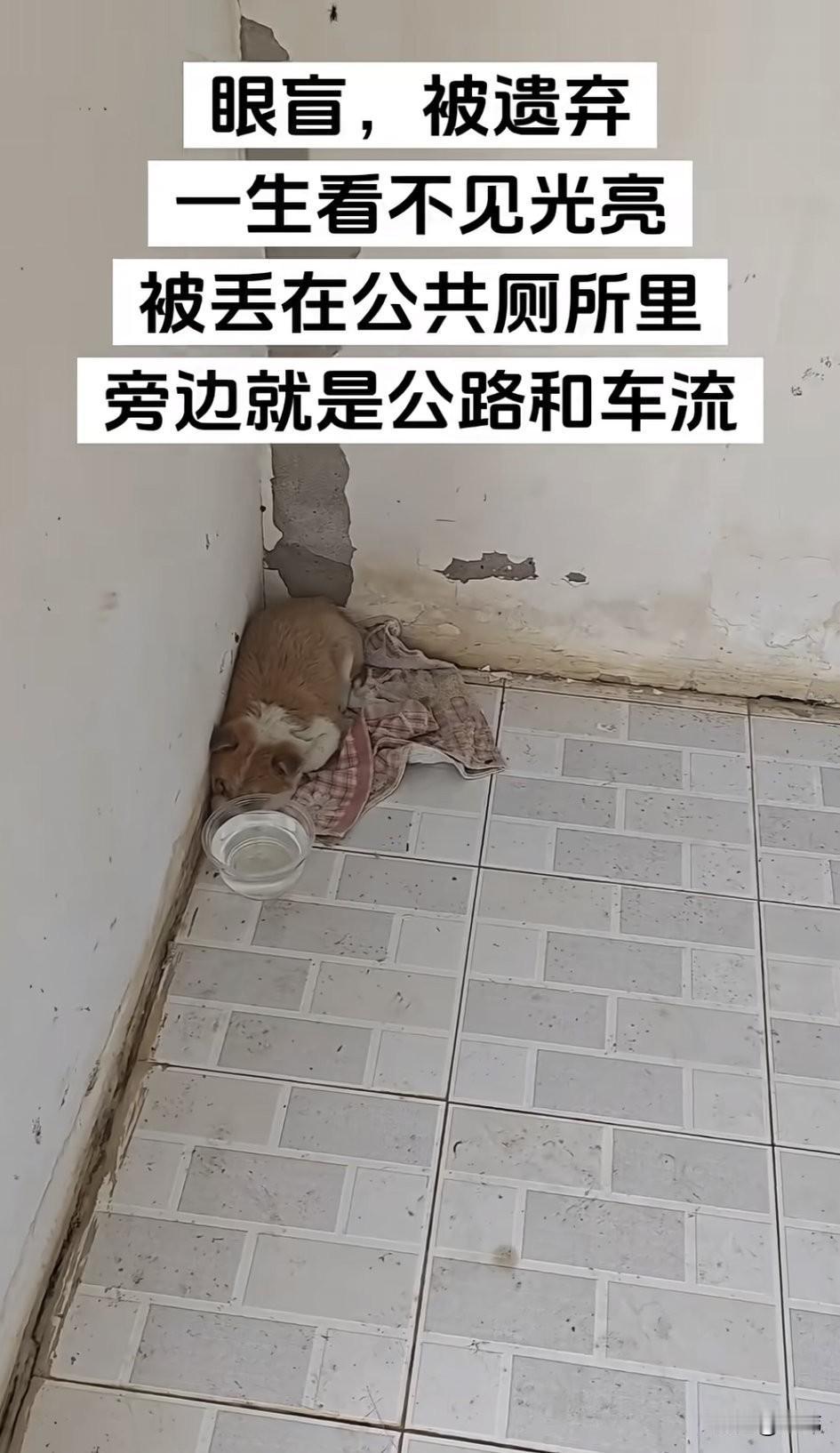 太可怜了！这天一位小哥哥去晨跑，当他跑到一个公厕的时候，因为内急就进去方便下，当