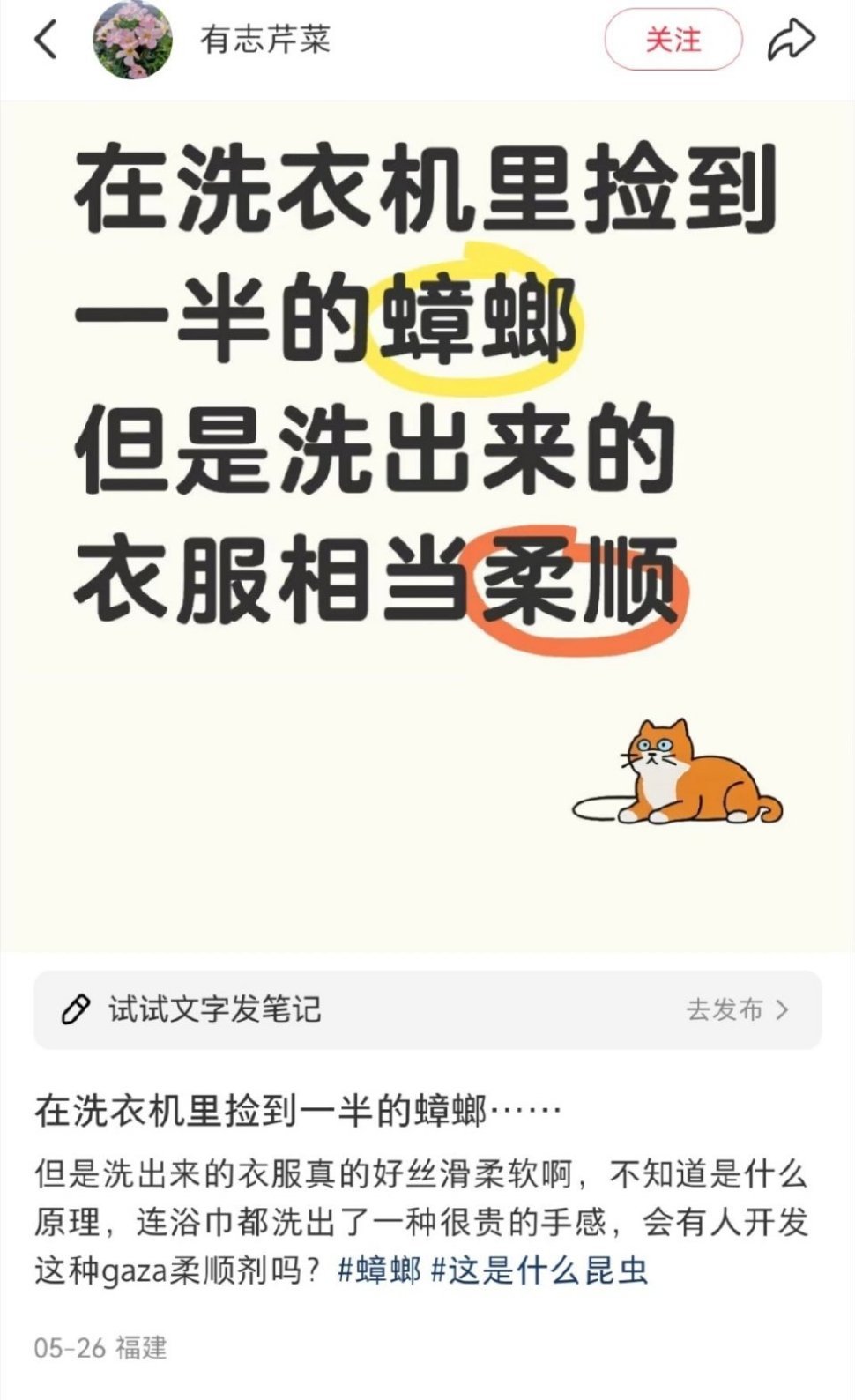 我在网上都看到了些什么？​​​