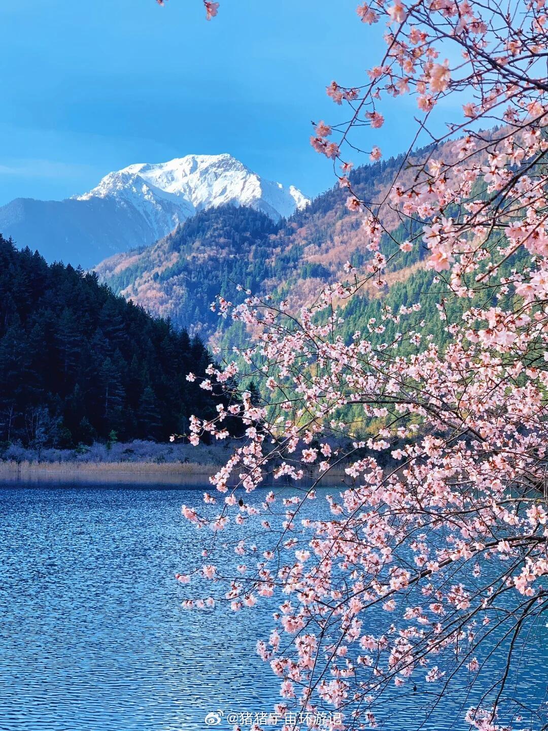 九寨沟旅行5A景区天花板3月接下来超美3-4月的九寨沟简直是浪漫旅行地天花板！