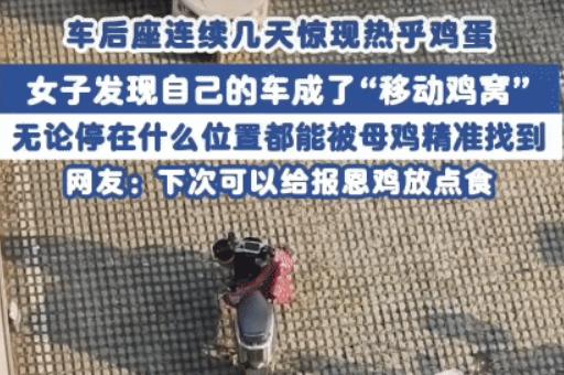 “笑不活了！”安徽阜阳，女子连续一周在自己的电动车里捡到鸡蛋。万万没想到，是小区
