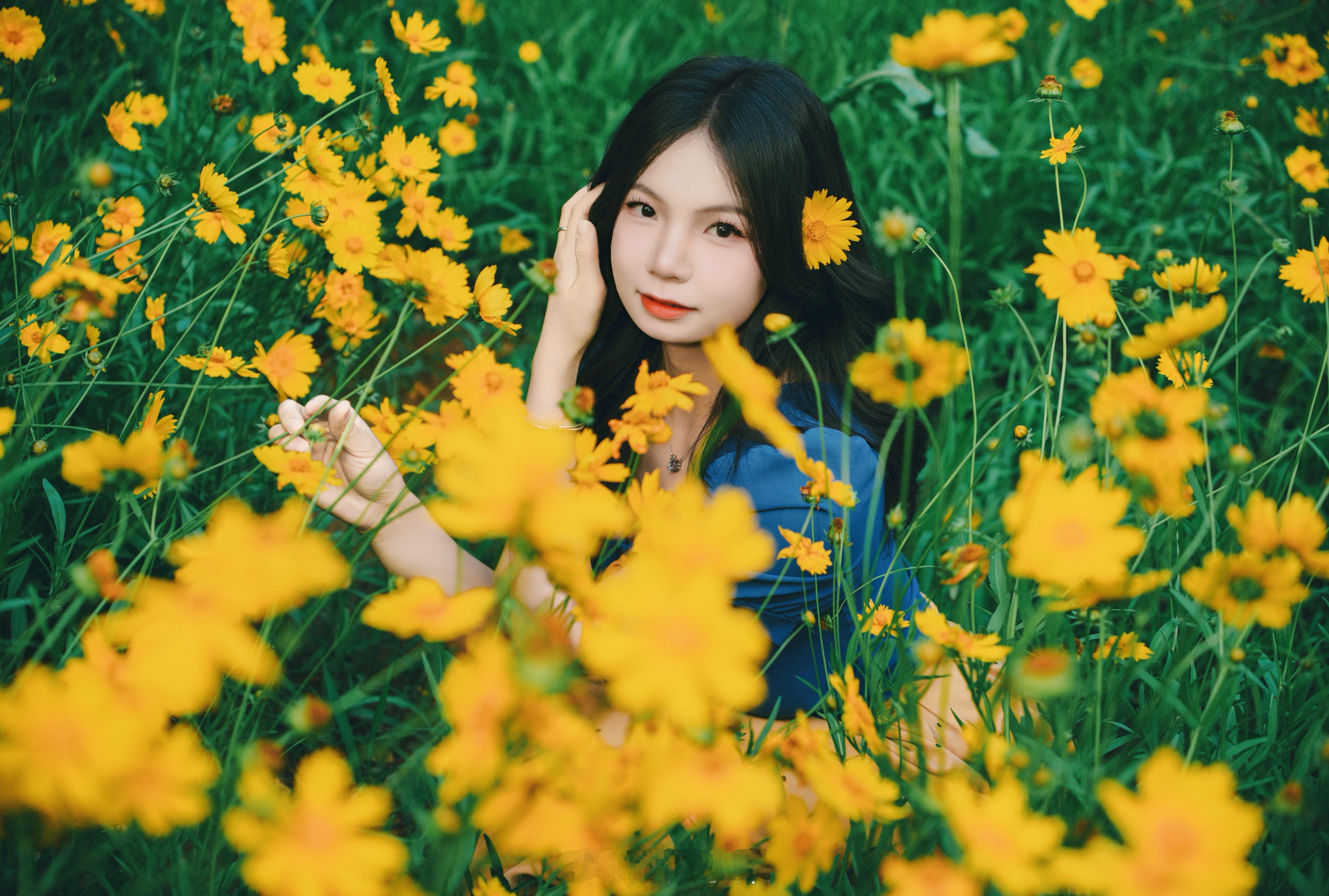 故事的小黄花​​​