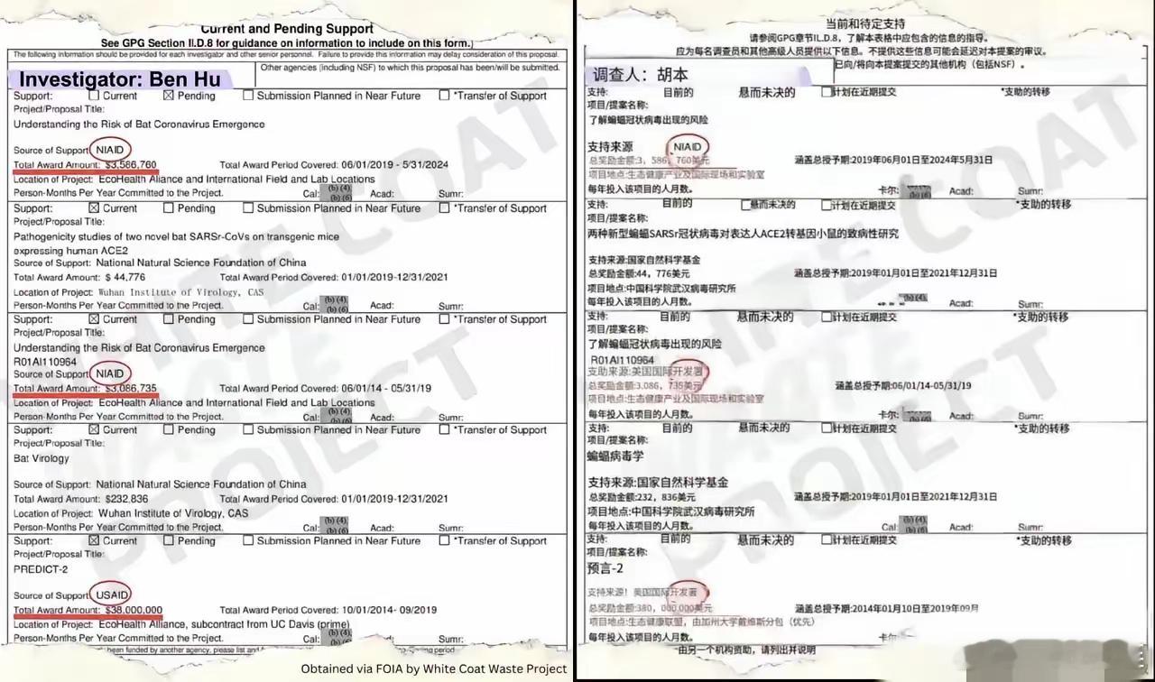 这截图直接曝了美国国际开发署给各地实验室的钱，研究新冠。武汉实验室拿了两次，总共