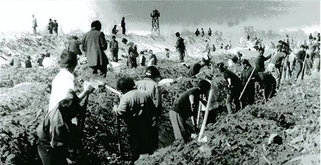 老虎肉什么味儿？耿飚晚年回忆，吃起来跟牛肉相似当枪声撕裂深山的寂静，四只斑斓