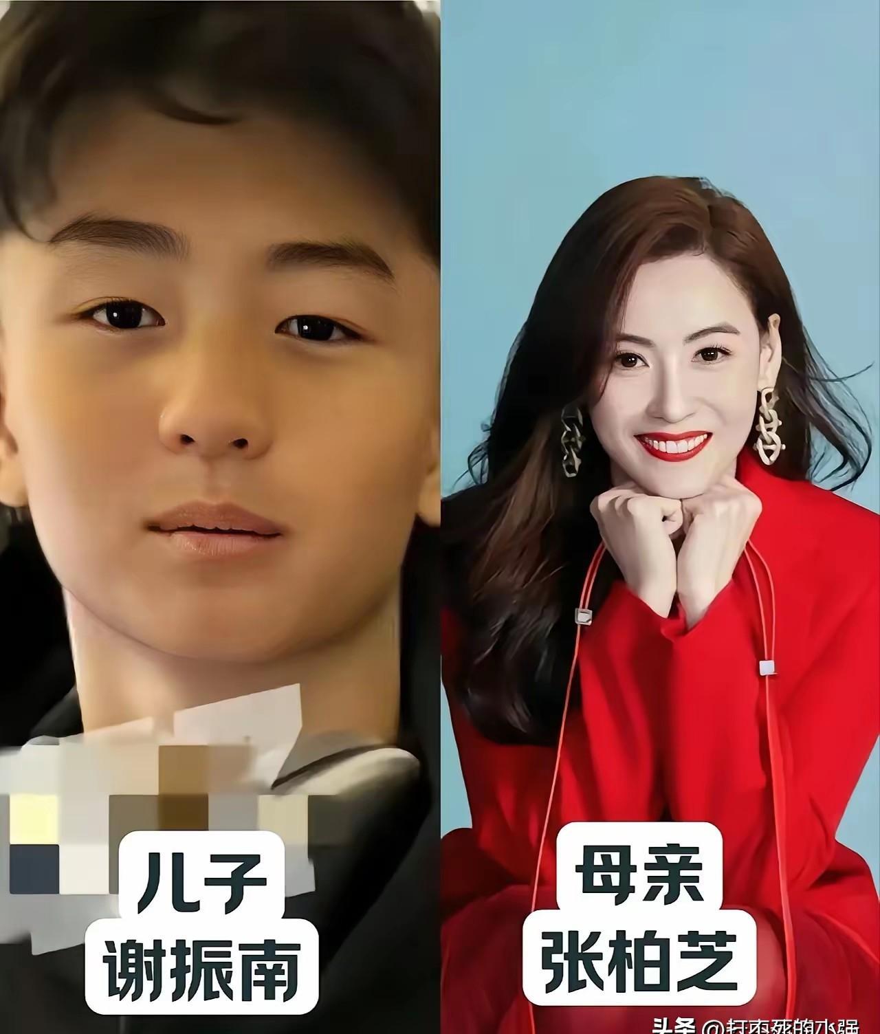 我的天，明星生娃不是生娃，是自带美颜相机，把自己的颜值直接“复制粘贴”到下一代身