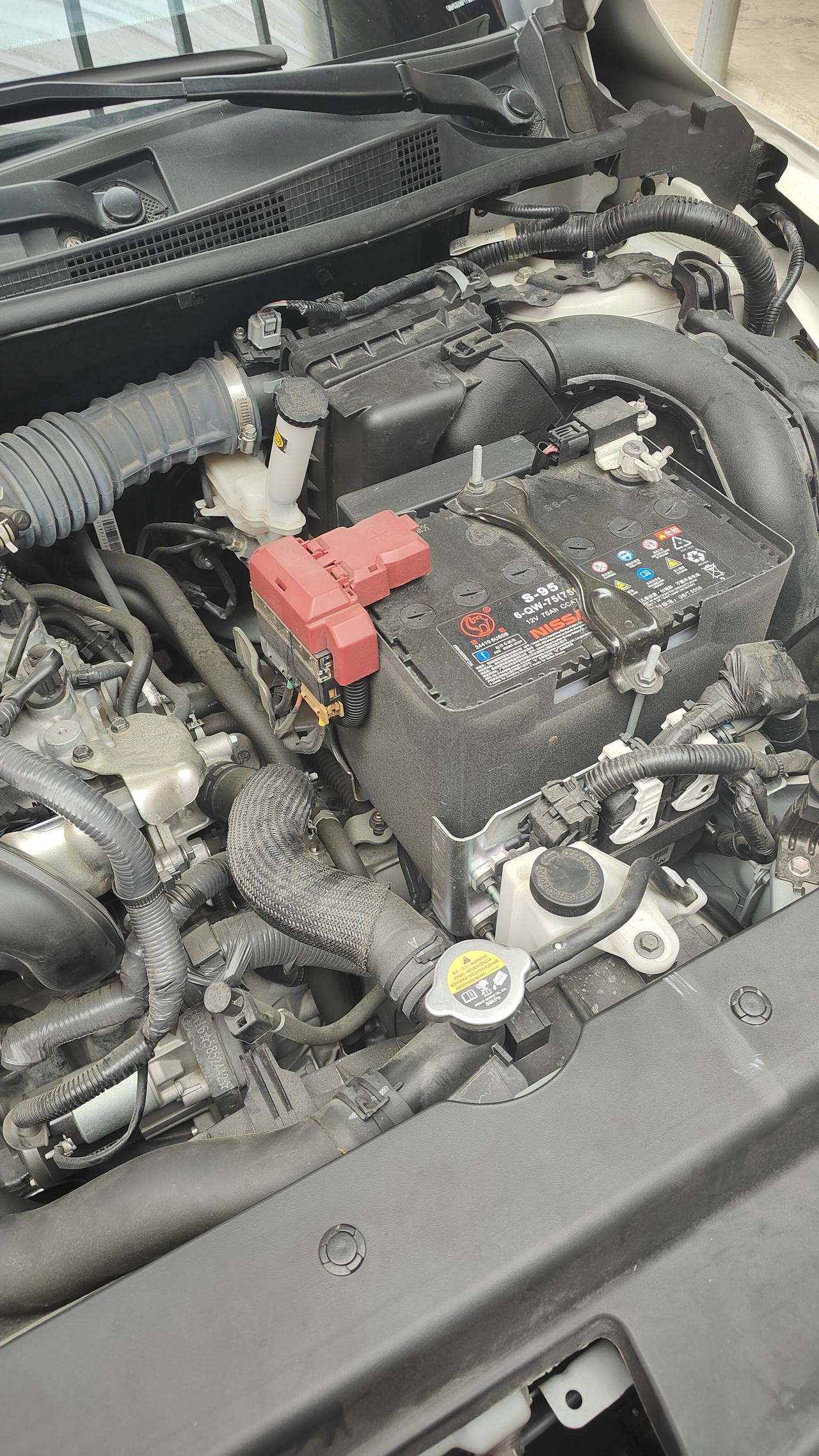 电瓶首选骆驼🐫牌