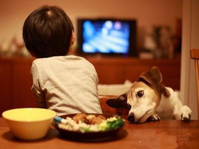 三岁幼儿成为电视迷! 每个月至少看十部动画片!