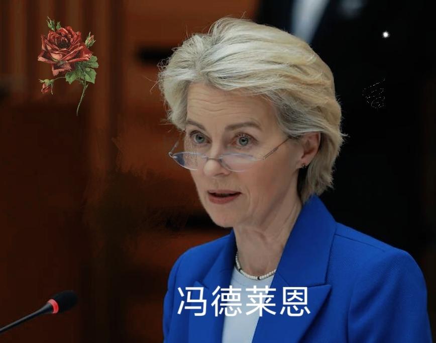冯德莱恩，再见了！欧盟再次出手，必须换人​​9月23日消息，欧洲议会的极右