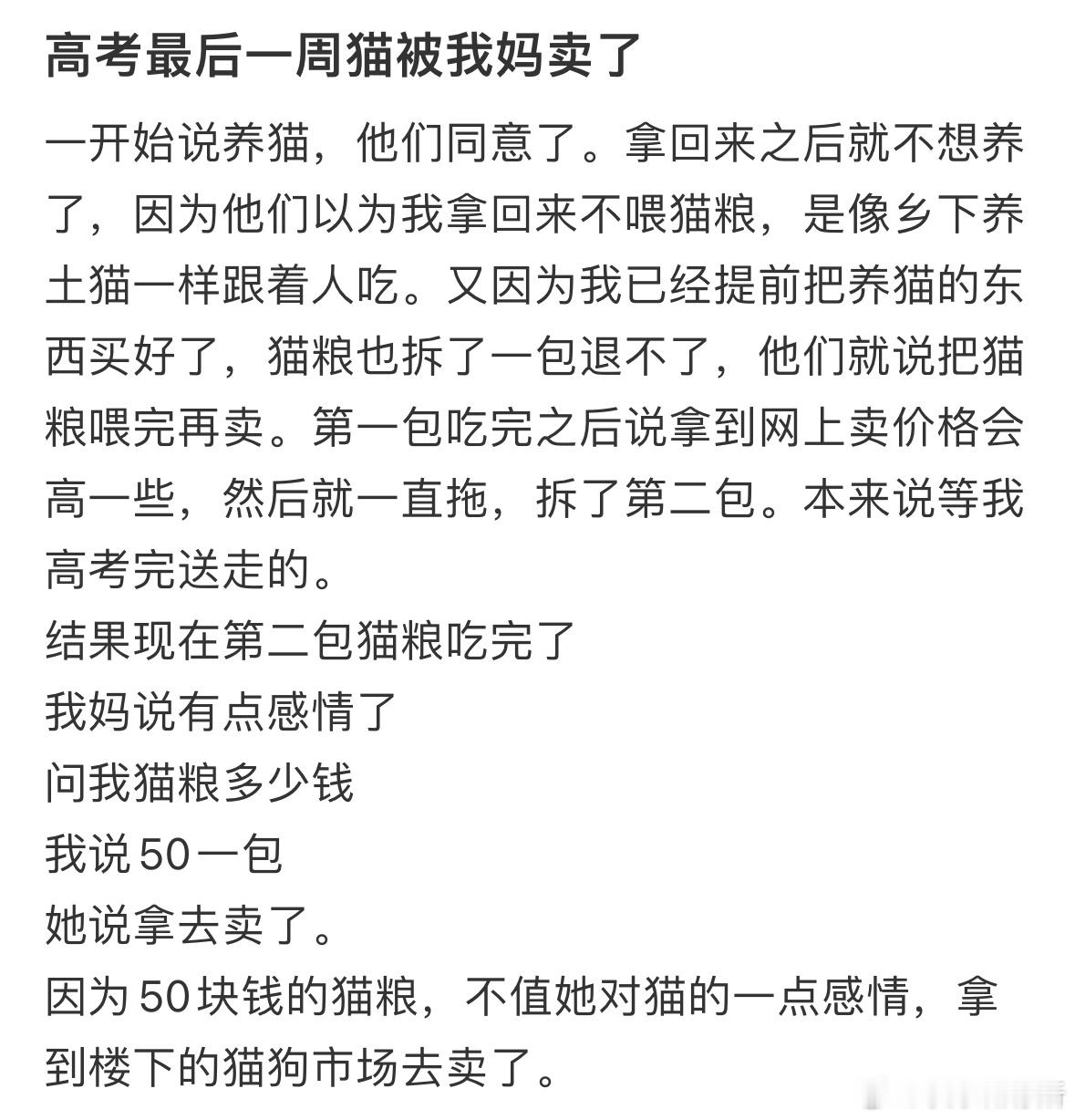高考最后一周猫被我妈卖了​​​