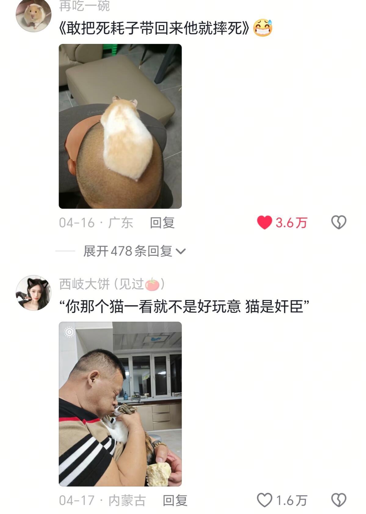 那些不让你们养宠物的家长​​​