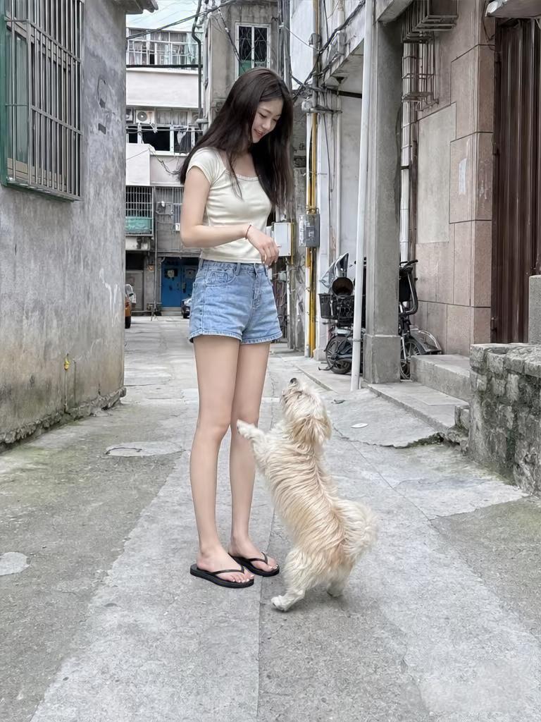 我的宠物狗