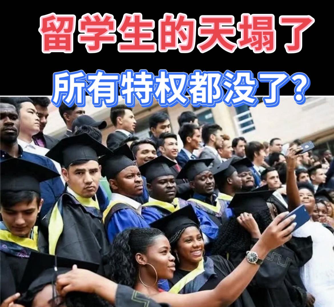 最近高校留学生政策调整，削减了留学生补贴，还让他们从两室一厅的宿