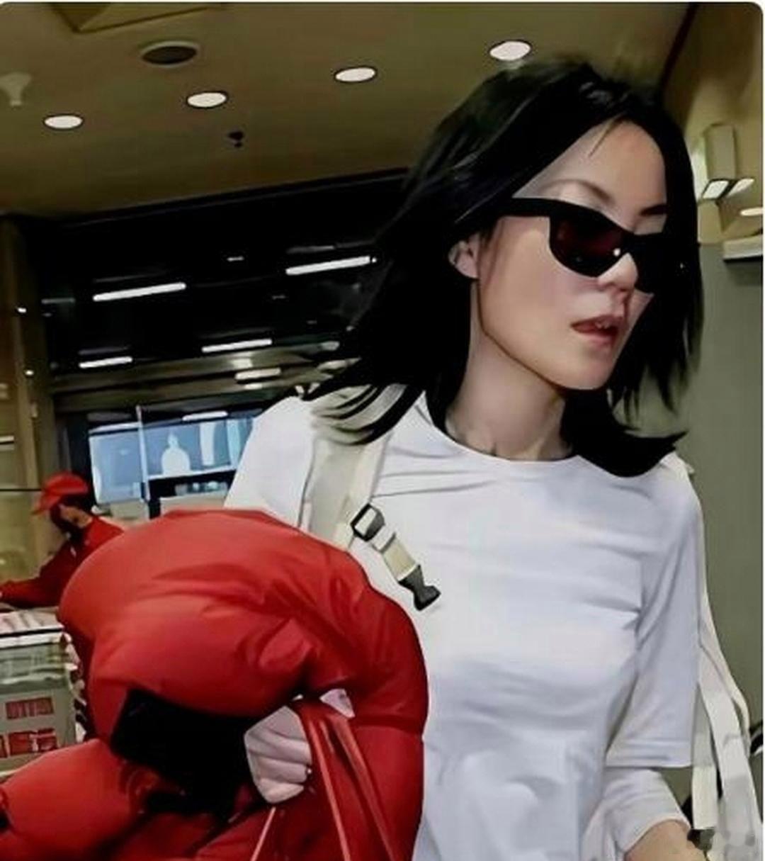 别再把王菲以及刘嘉玲拿来比较消费情况了,根本就不是处于同一个量级的。王菲购买爱马仕,是将奢侈品当作包