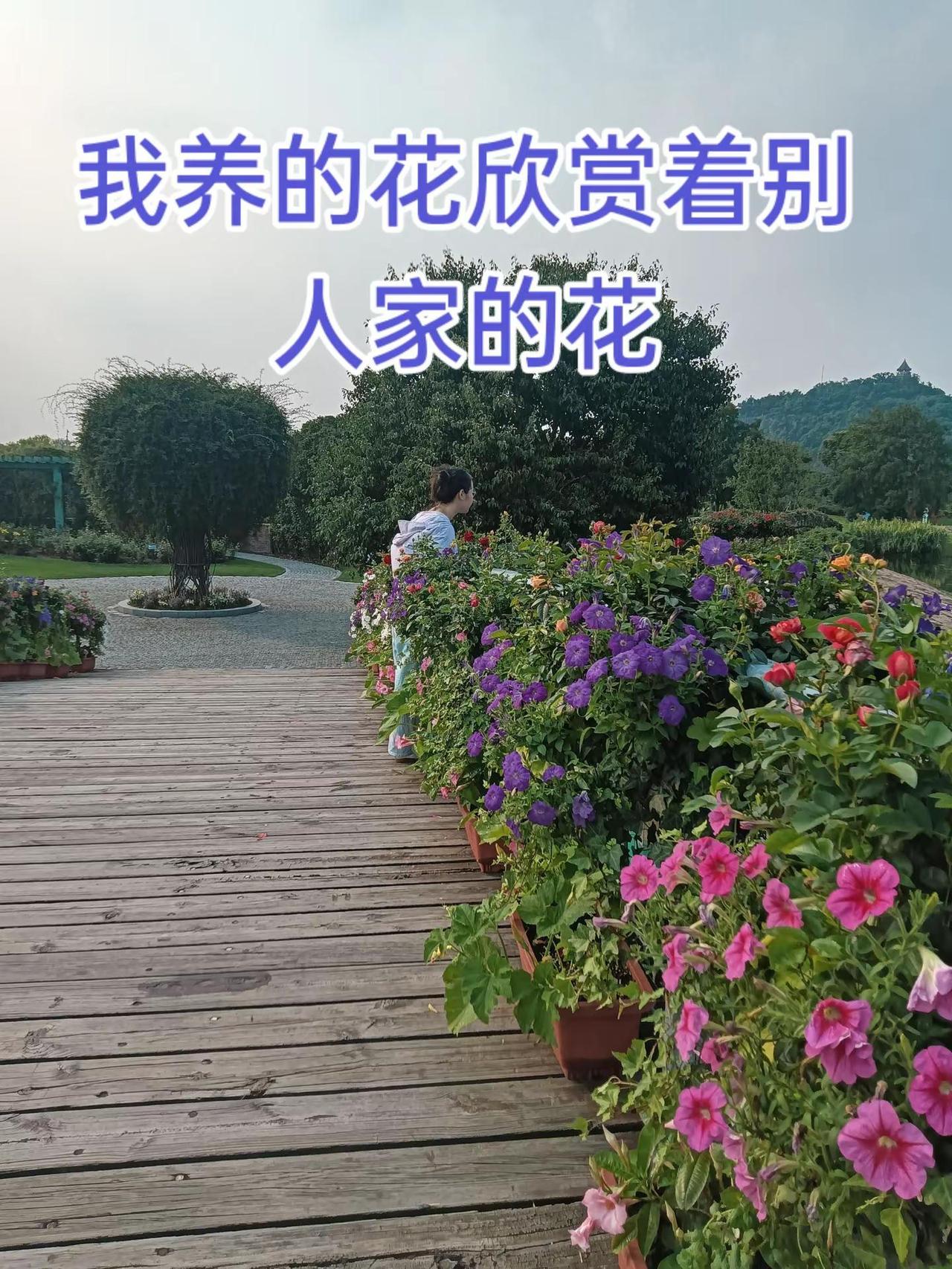 好美，好美。
