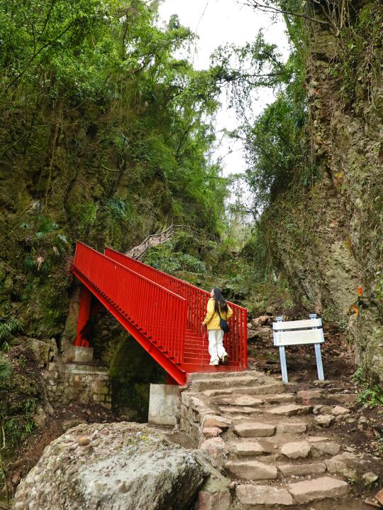 新发现！很冷门的徒步路线🍃人少景美还免费～