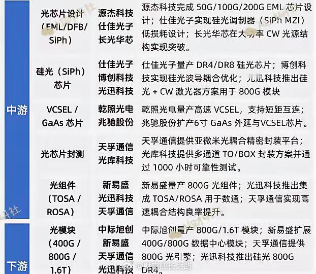 光芯片是AI时代确定性最高的赛道之一，封装测试占成本一半，光模块采购量在部分年份