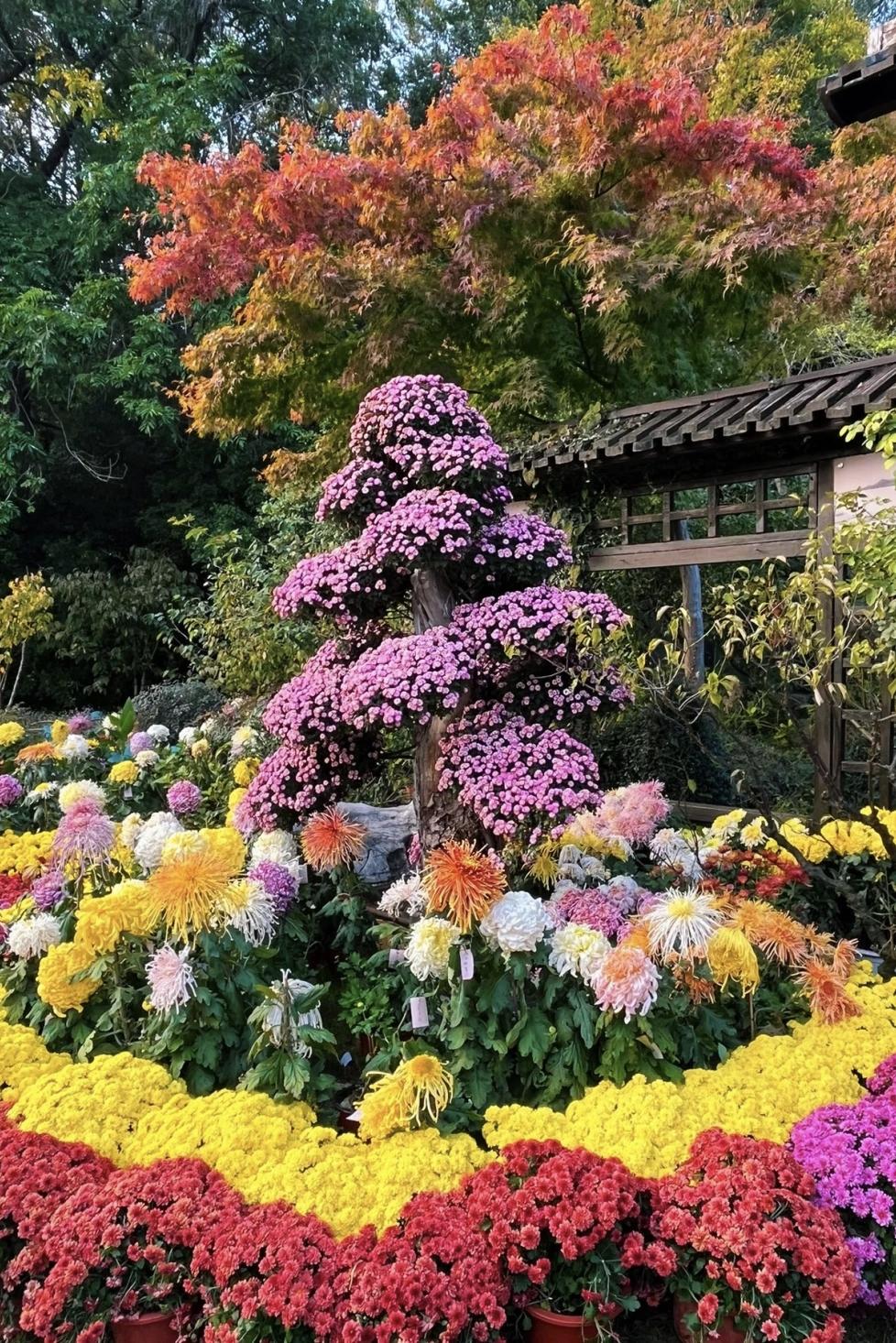 一线城市真是女性的“择偶荒漠”。就说我同事，入职三年都单着，说找不到喜欢的。公司