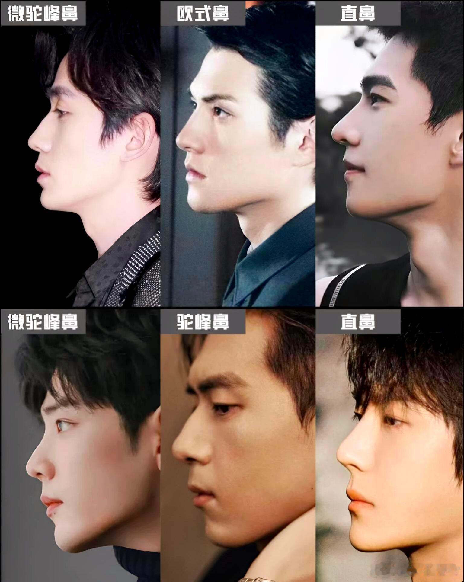 内娱男星鼻型大赏，你最吃哪款？