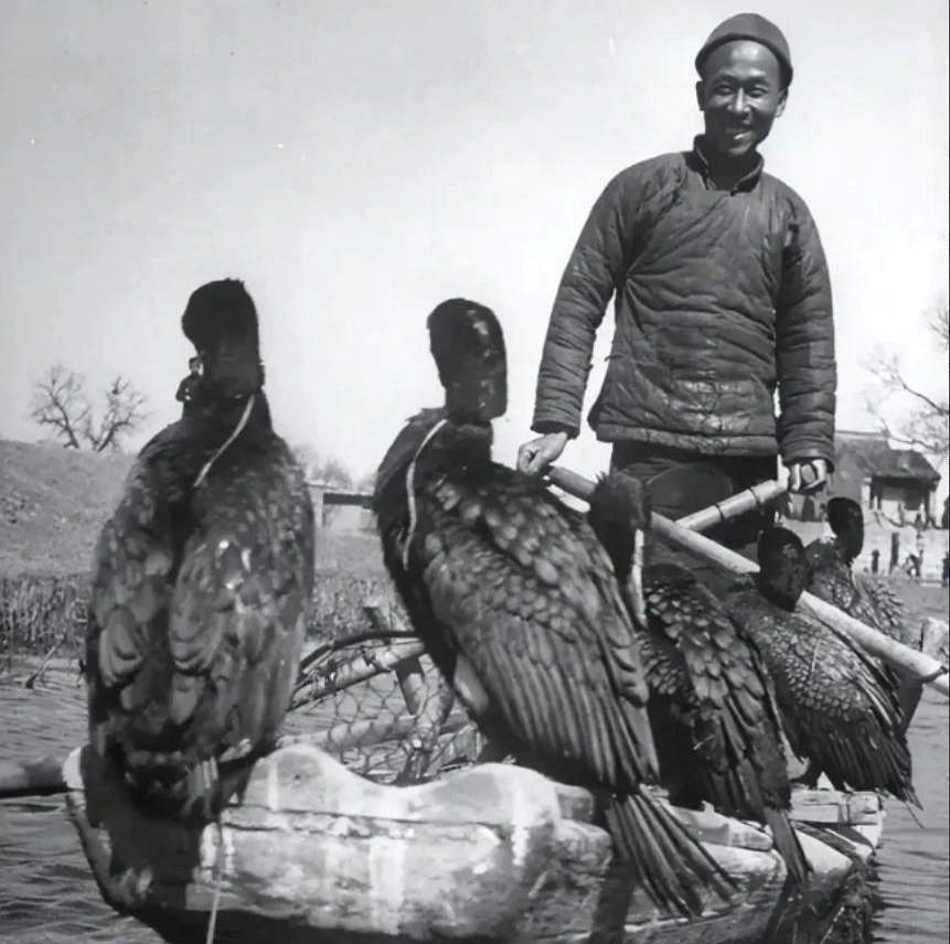 1942年，一位渔夫载着16名日军渡江，突然，他毫无征兆的撤下船桨，朝着江面纵身