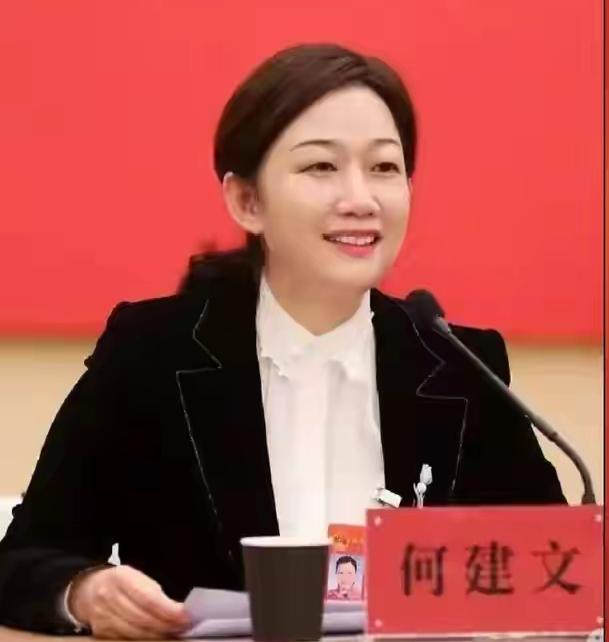 "70后"何建文提任武汉市副市长昨天，武汉市第15届人大常委会第35次会议，