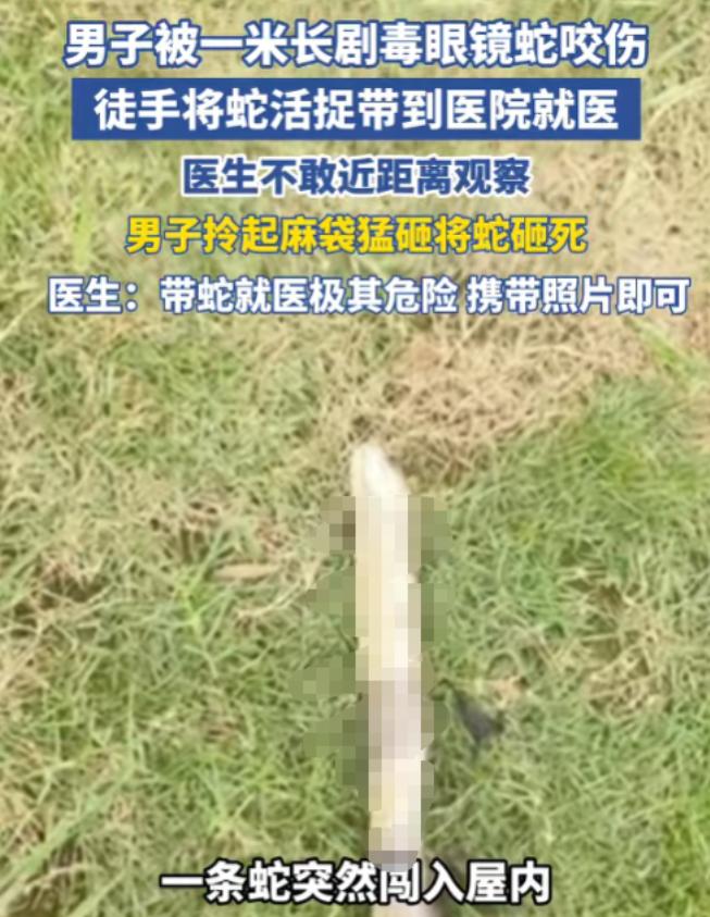 毒蛇还要保护吗？6月21日报道，云南一名44岁男子在家休息时，一条蛇突然闯进屋。