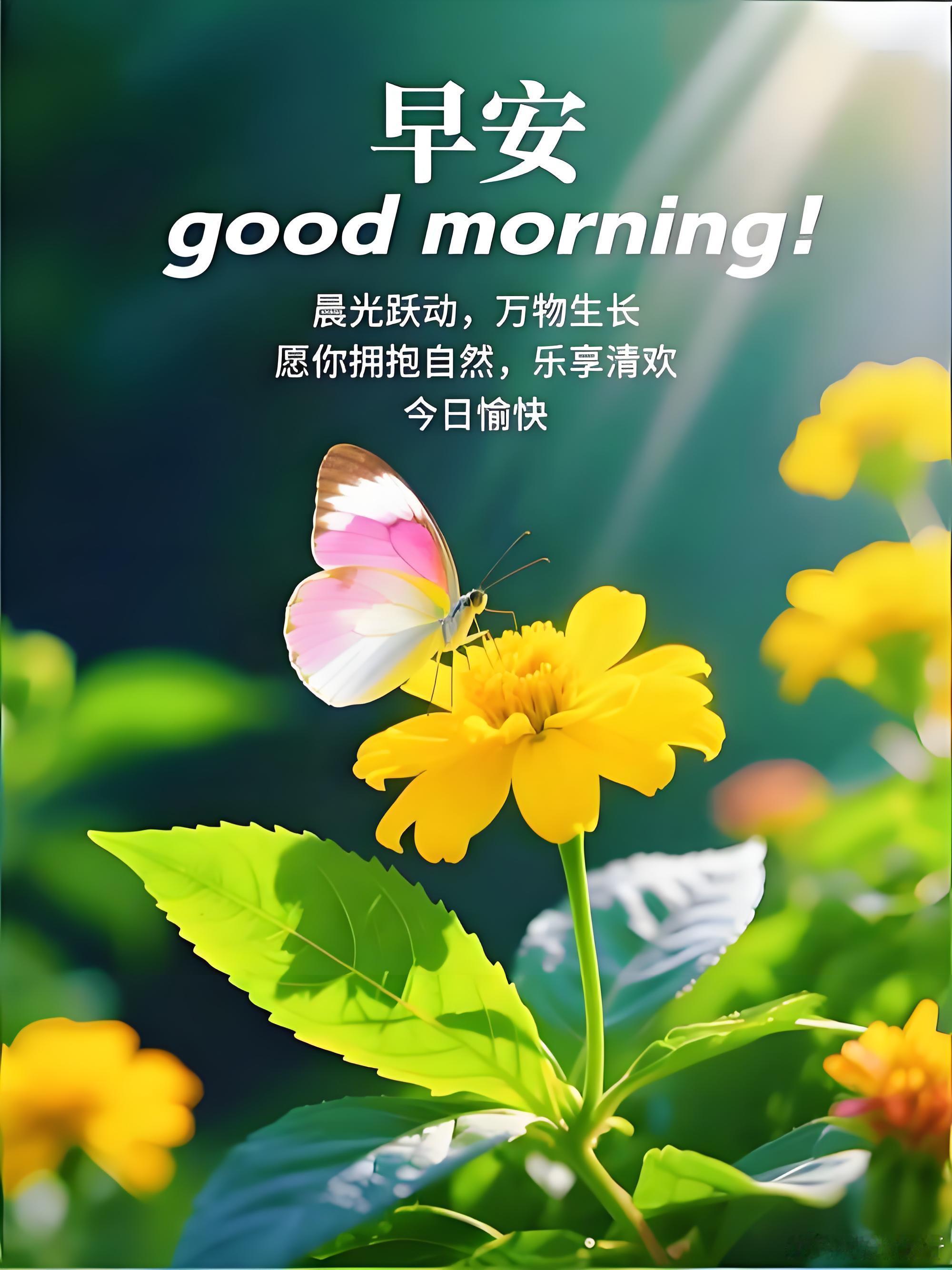 正能量、励志、经典语录合集10月5日早安☀️假期接近尾声，收心沉淀，蓄力前行。生活没有捷径，所有的收