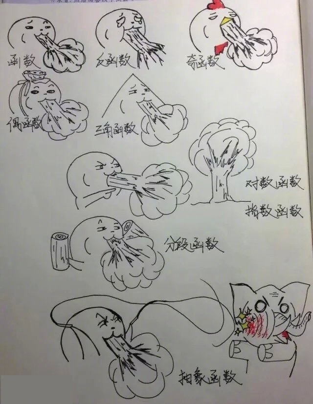 大概是个学函数的美术生