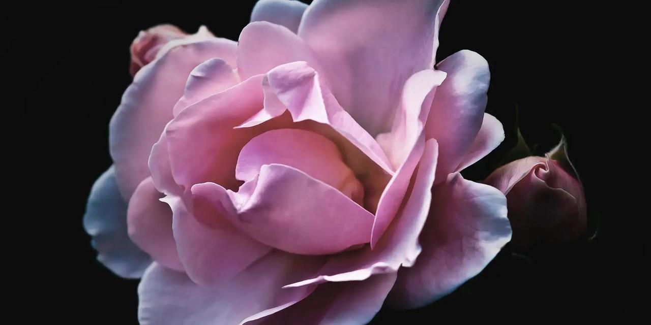 属龙的朋友们，这段时间日子过得挺惬意，虽然节奏慢点，但正是养精蓄锐的好机会。很多