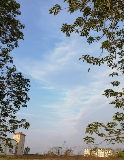 保持一直瘦的十个好习惯1．第一个：不吃晚餐2．第二个：饭前喝一杯温水，增加饱