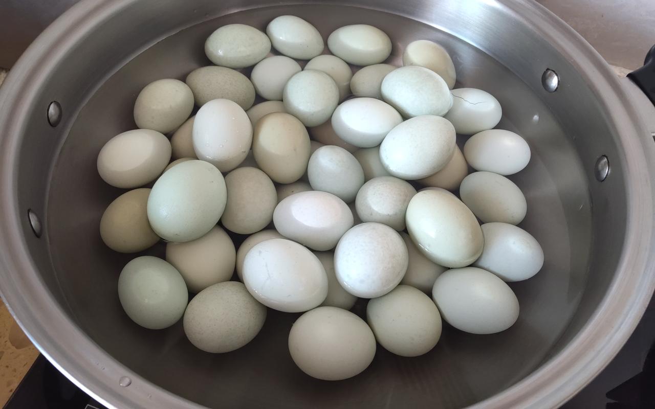 被邻居和朋友一致称赞的茶叶蛋制作开始啦！去准备材料，50个乌鸡蛋（个头小容易入