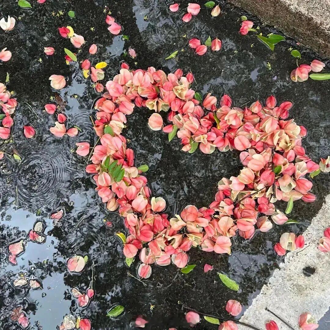 年少时不能遇见太过惊艳的人，否则无论往后朝夕，再也不能够认真喜欢一个人了。——《