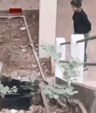 她就是养蛇的蛇妈妈，蛇敢咬她就只有饿死，万物皆有灵，相生相克，谁都不敢越界