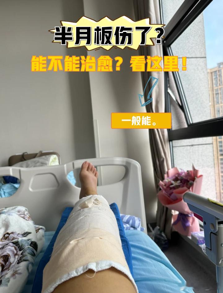 骨折半个月痊愈秘方的辩证解析（兼论中医骨折诊疗逻辑）一、方剂配伍核心逻辑（外用方